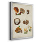 Mushroom Species I - Modern Framed Canvas Print