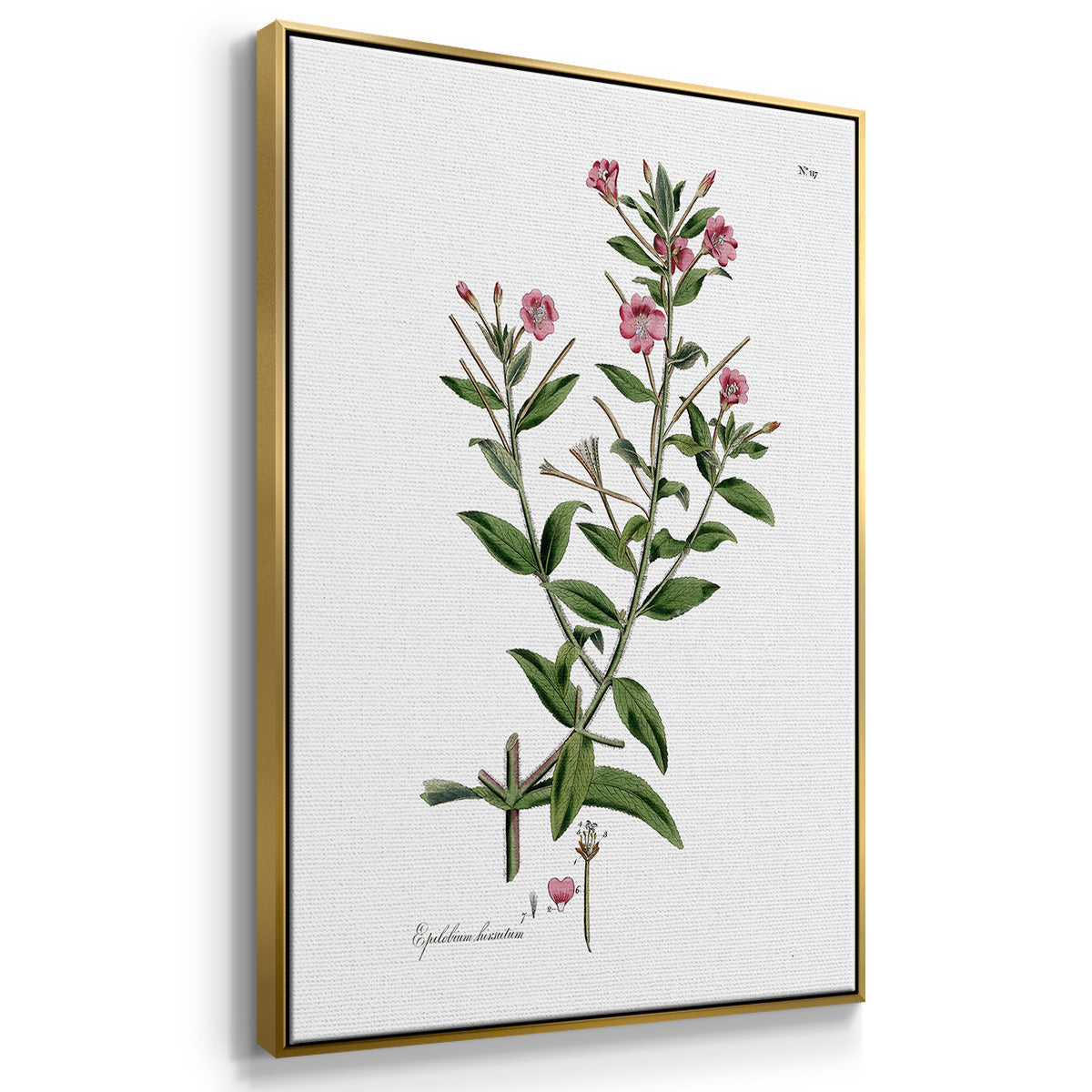 Rose Botanical I - Framed Premium Gallery Wrapped Canvas L Frame 3 Piece Set - Ready to Hang