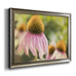 Echinacea Study II Premium Framed Canvas- Ready to Hang