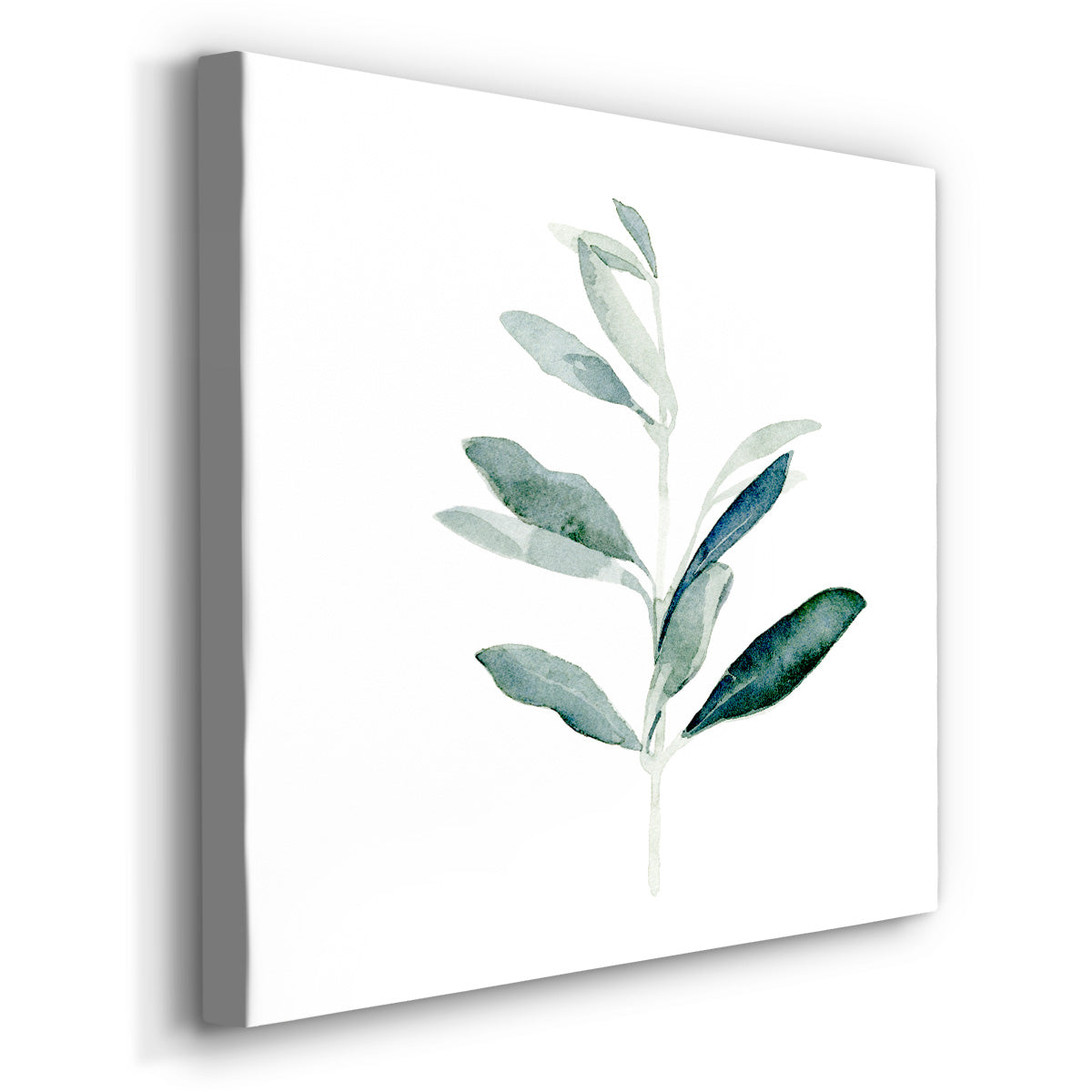 Summer Olive Branch I - Canvas Art Print