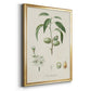 Antique Almond Botanical I - Modern Framed Canvas Print