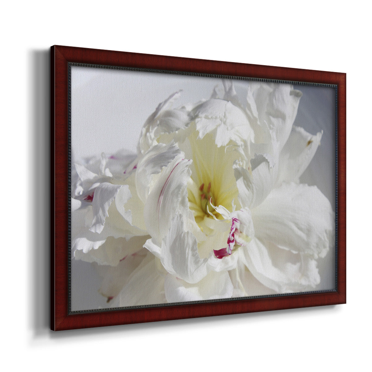 Breathless IV - Ornate Framed Canvas Print