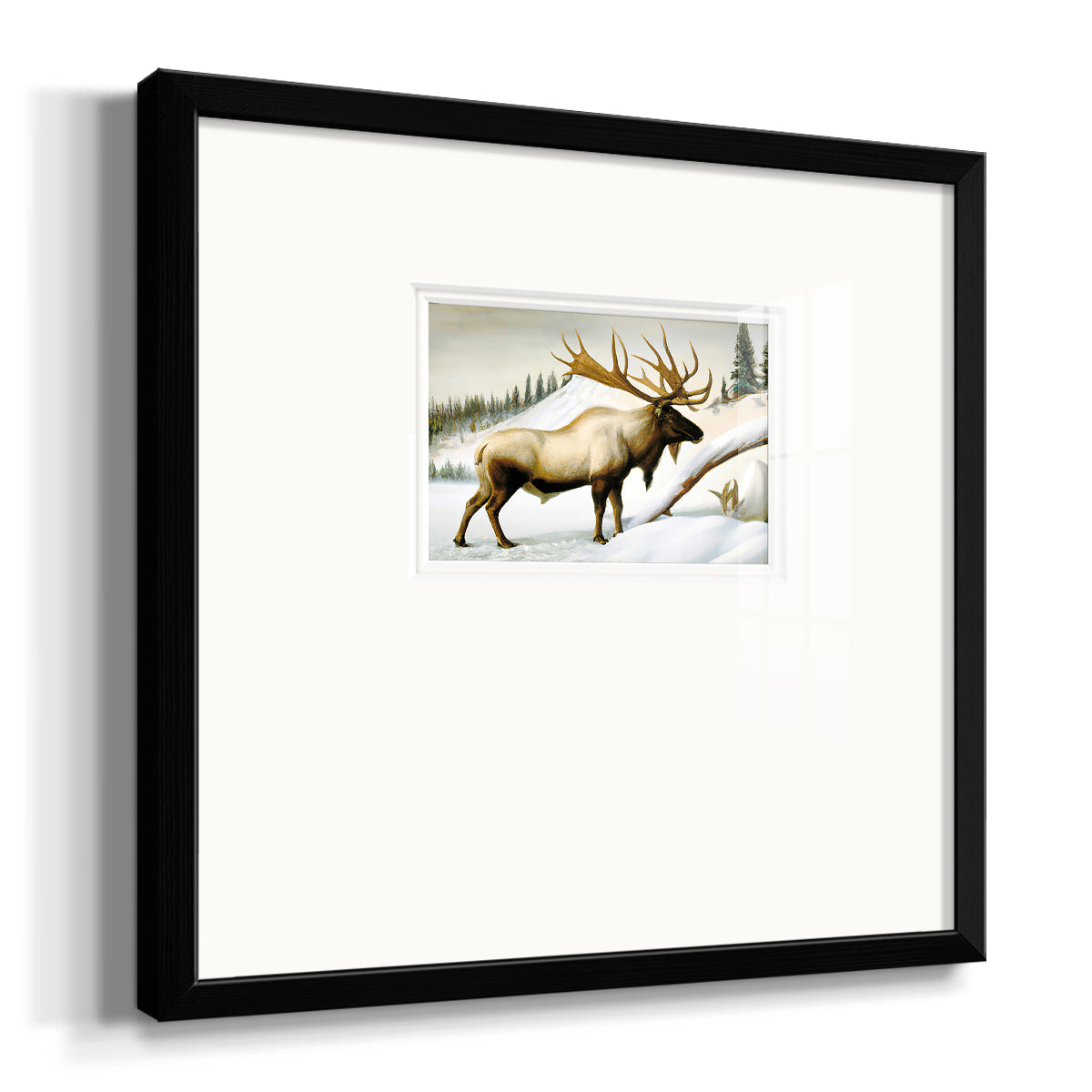 Snow Elk Premium Framed Print Double Matboard