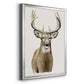 Handsome Whitetail II - Modern Framed Canvas Print