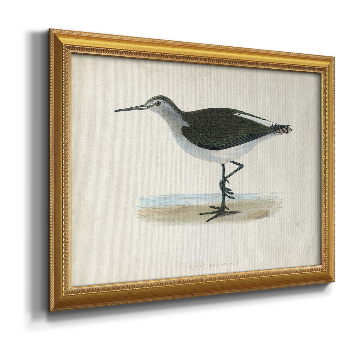 Morris Sandpipers VI Premium Framed Canvas- Ready to Hang