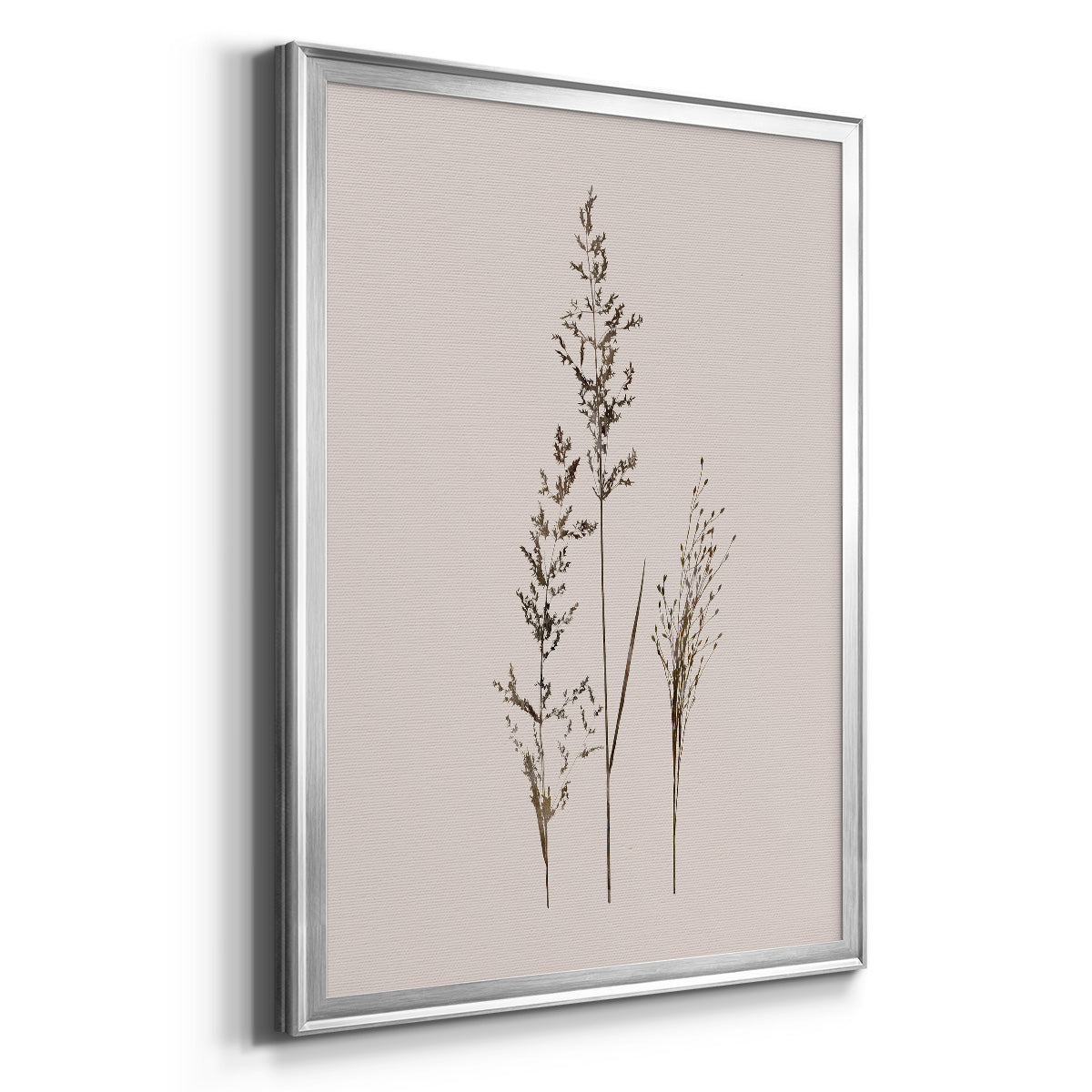 Delicate Stems I - Modern Framed Canvas Print