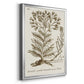 Sepia Botanical Journal I - Modern Framed Canvas Print