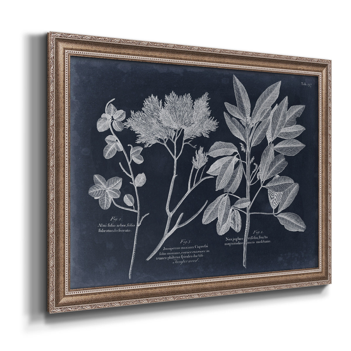 Foliage on Navy VI Premium Framed Canvas- Ready to Hang