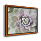 Succulent Glow II - Ornate Framed Canvas Print