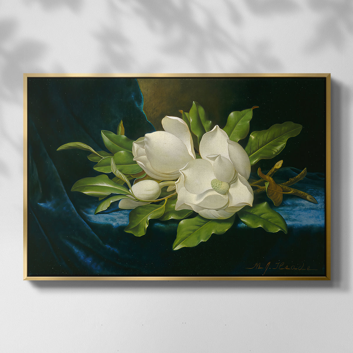 Giant Magnolias on a Blue Velvet Cloth, c. 1890 - Floater Framed Canvas Print