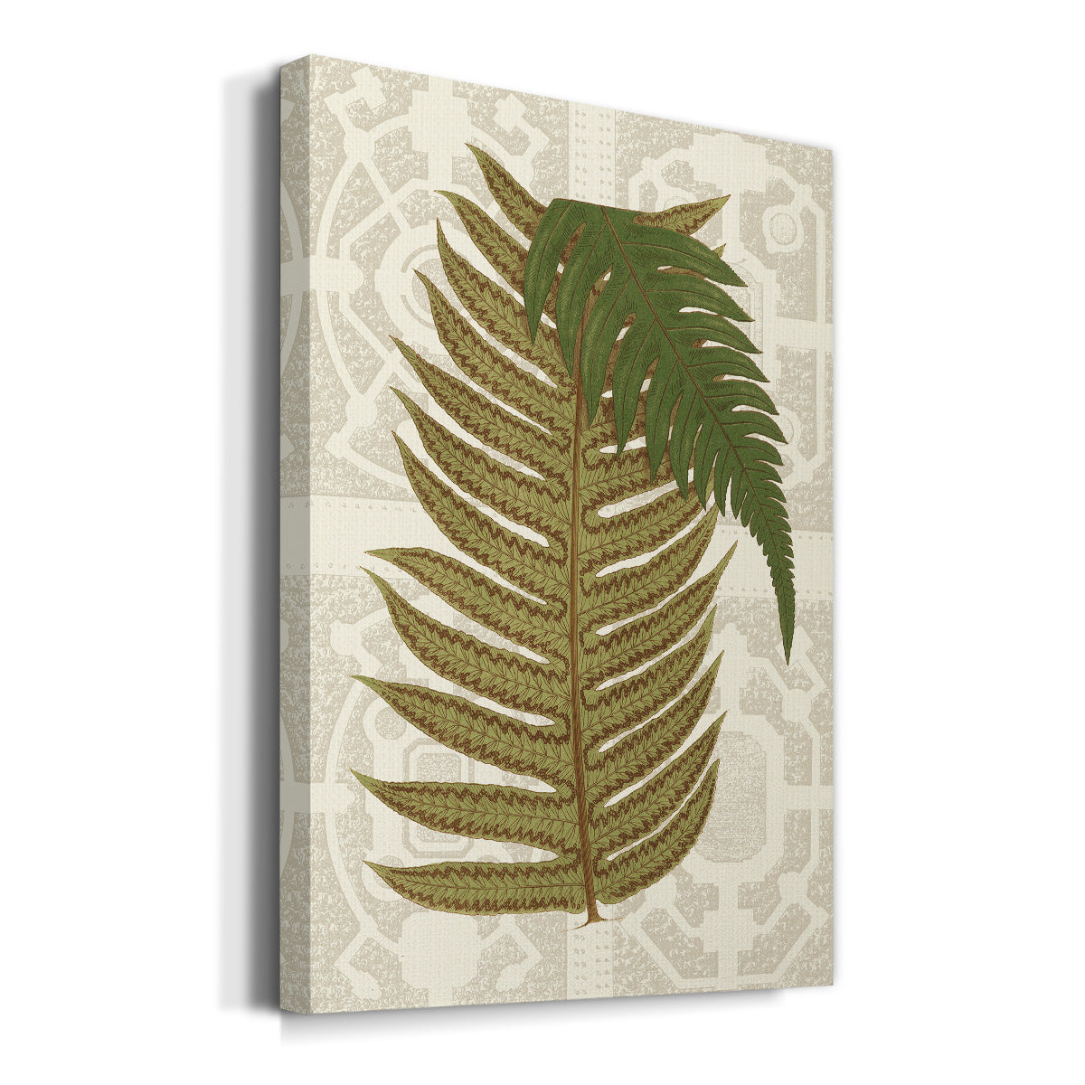 Garden Ferns II Premium Gallery Wrapped Canvas - Ready to Hang