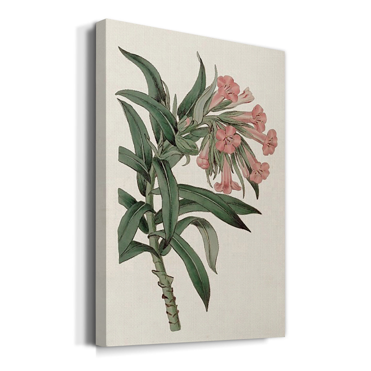 Pink Floral Mix VI - Canvas Art Print