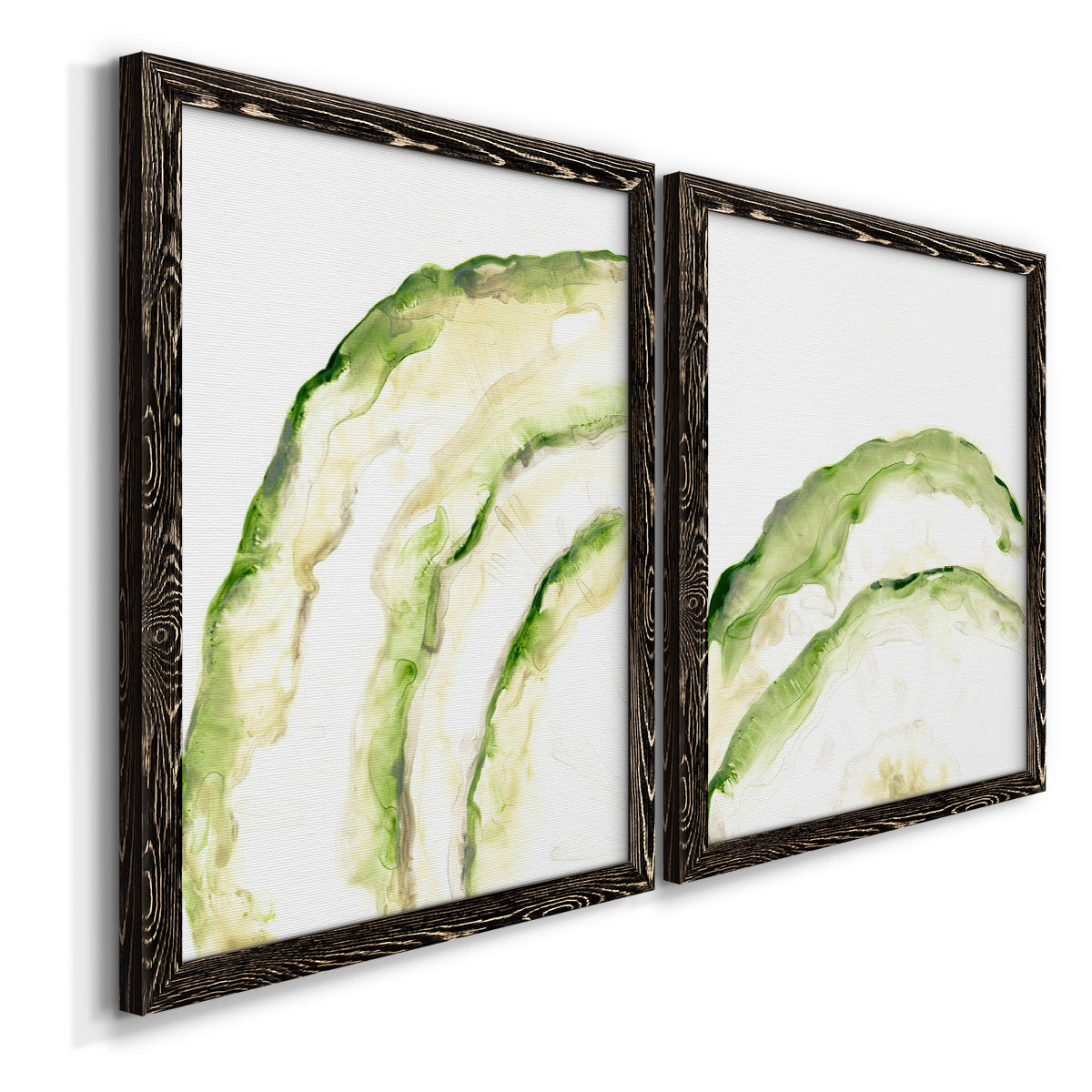 Lichen Halo I - Premium Framed Canvas 2 Piece Set - Ready to Hang