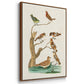 Antique Birds in Nature I - Framed Premium Gallery Wrapped Canvas L Frame 3 Piece Set - Ready to Hang