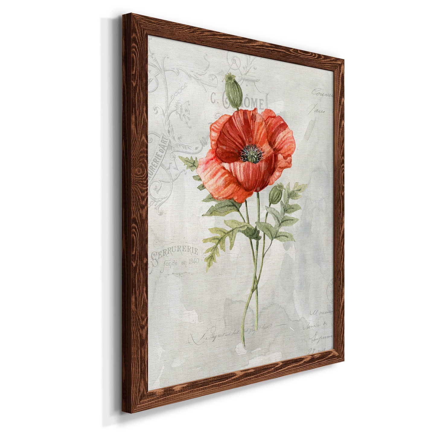 Linen Poppy - Premium Canvas Framed in Barnwood - Ready to Hang