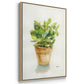 Succulent I -  Framed Canvas Print