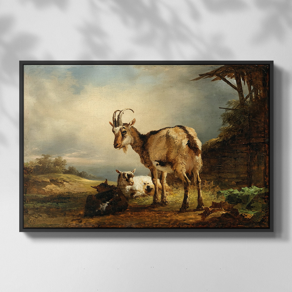 A Goat with Two Kids - Floater Framed Canvas Print