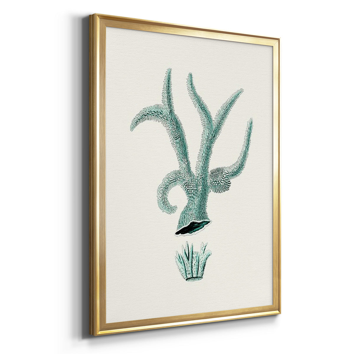 Antique Coastal Coral XII - Modern Framed Canvas Print