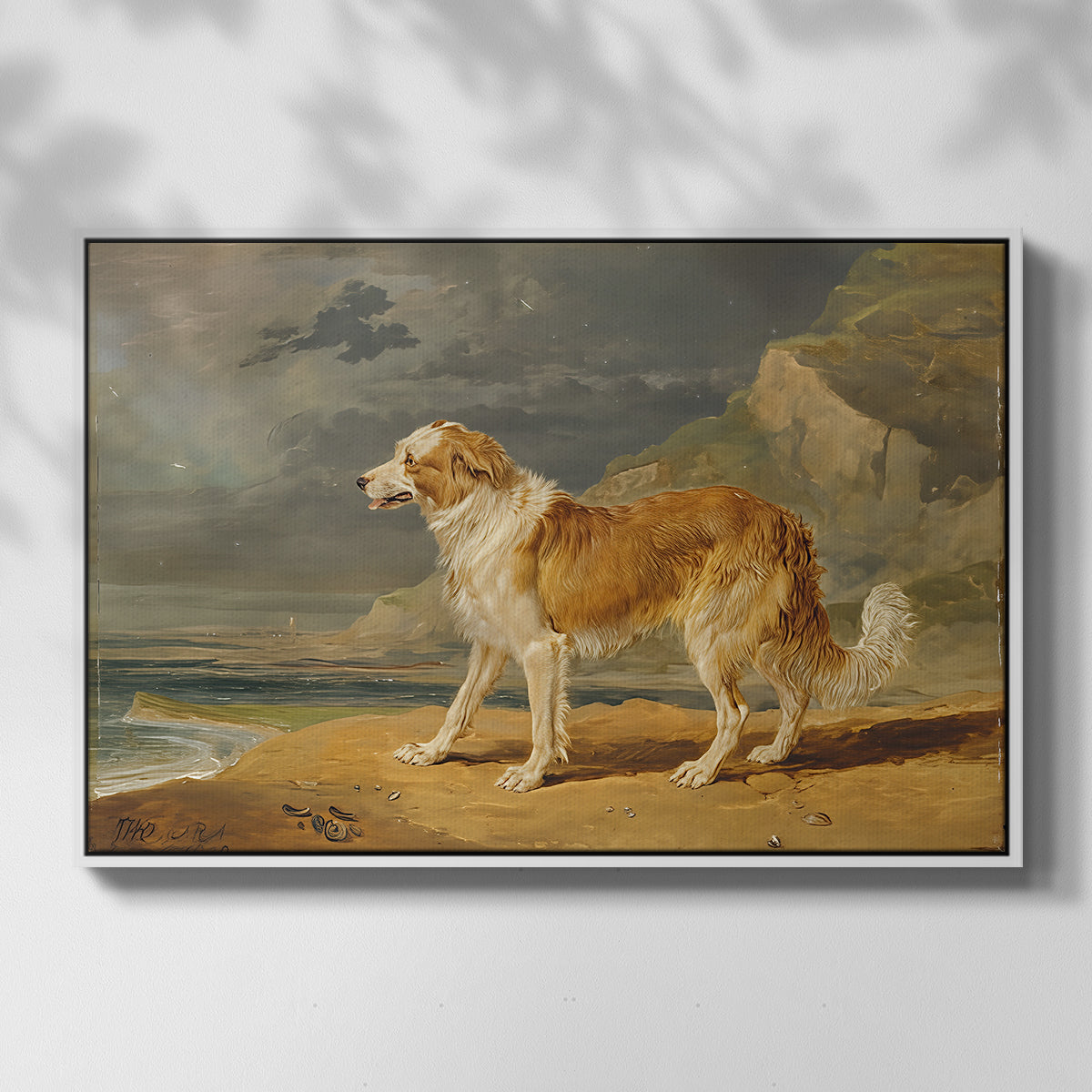 Rough-Coated Collie, 1809 - Floater Framed Canvas Print
