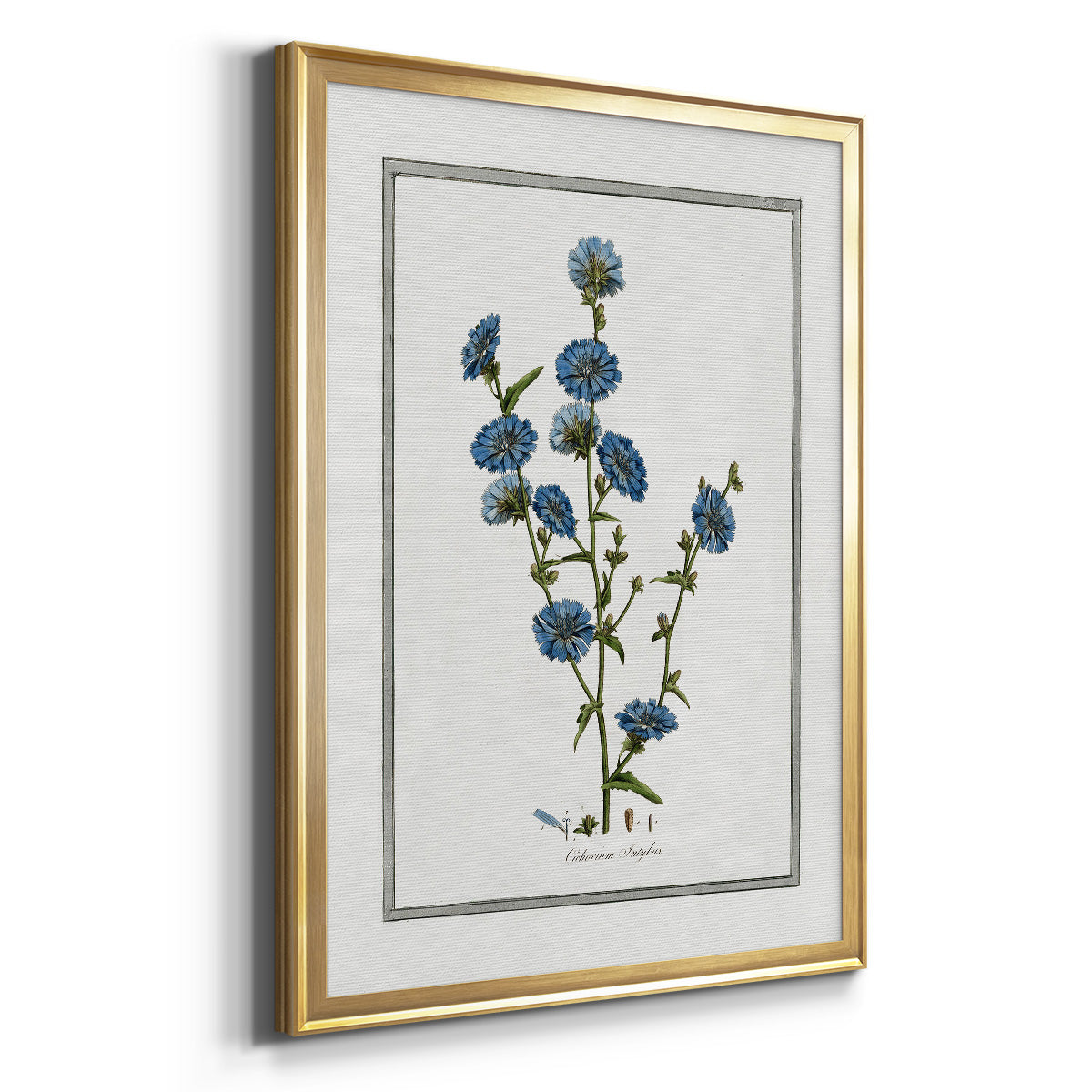 Soft Botanical I - Modern Framed Canvas Print