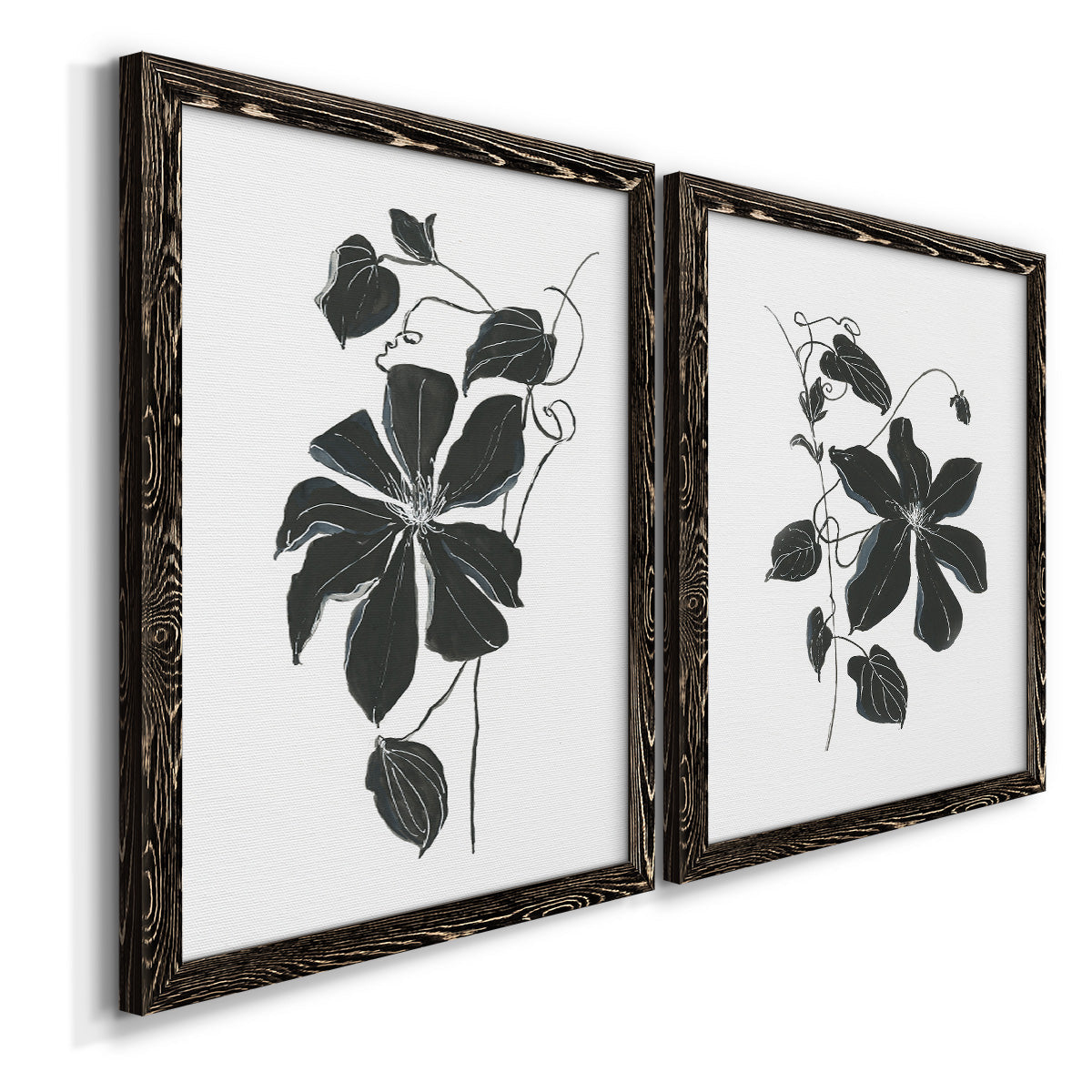 Angled view of a set of two black barnwood framed canvas prints featuring two minimalist botanical prints featuring black leafy vine silhouettes.