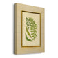 Fern with Crackle Mat (H) II - Canvas Art Print