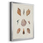 Knorr Shells & Coral VI - Modern Framed Canvas Print