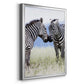 African Affection - Modern Framed Canvas Print