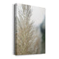 Subtle Grasses IV - Canvas Art Print