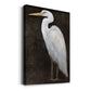 White Heron Portrait II  Premium Gallery Wrapped Canvas - Ready to Hang