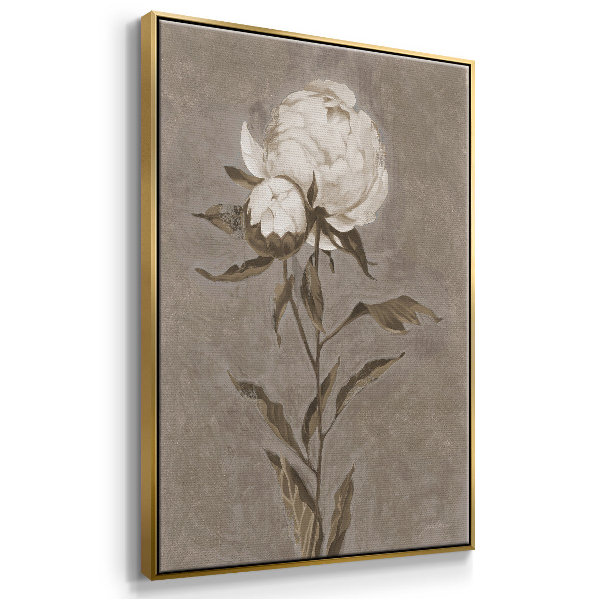 Pretty as a Peony II - Framed Premium Gallery Wrapped Canvas L Frame - Ready to Hang