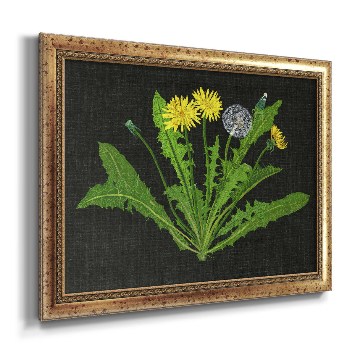 Wild Dandelion II Premium Framed Canvas- Ready to Hang