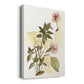 Impatiens Study Premium Gallery Wrapped Canvas - Ready to Hang