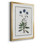 Soft Botanical II - Modern Framed Canvas Print