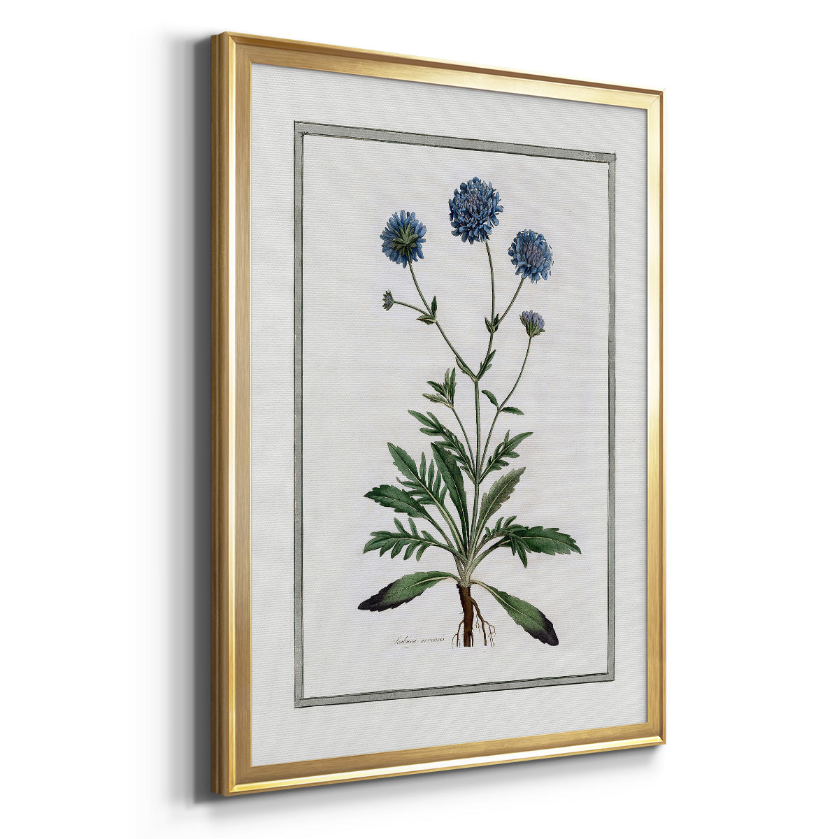 Soft Botanical II - Modern Framed Canvas Print