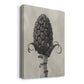 Blossfeldt Botanical IV Premium Gallery Wrapped Canvas - Ready to Hang