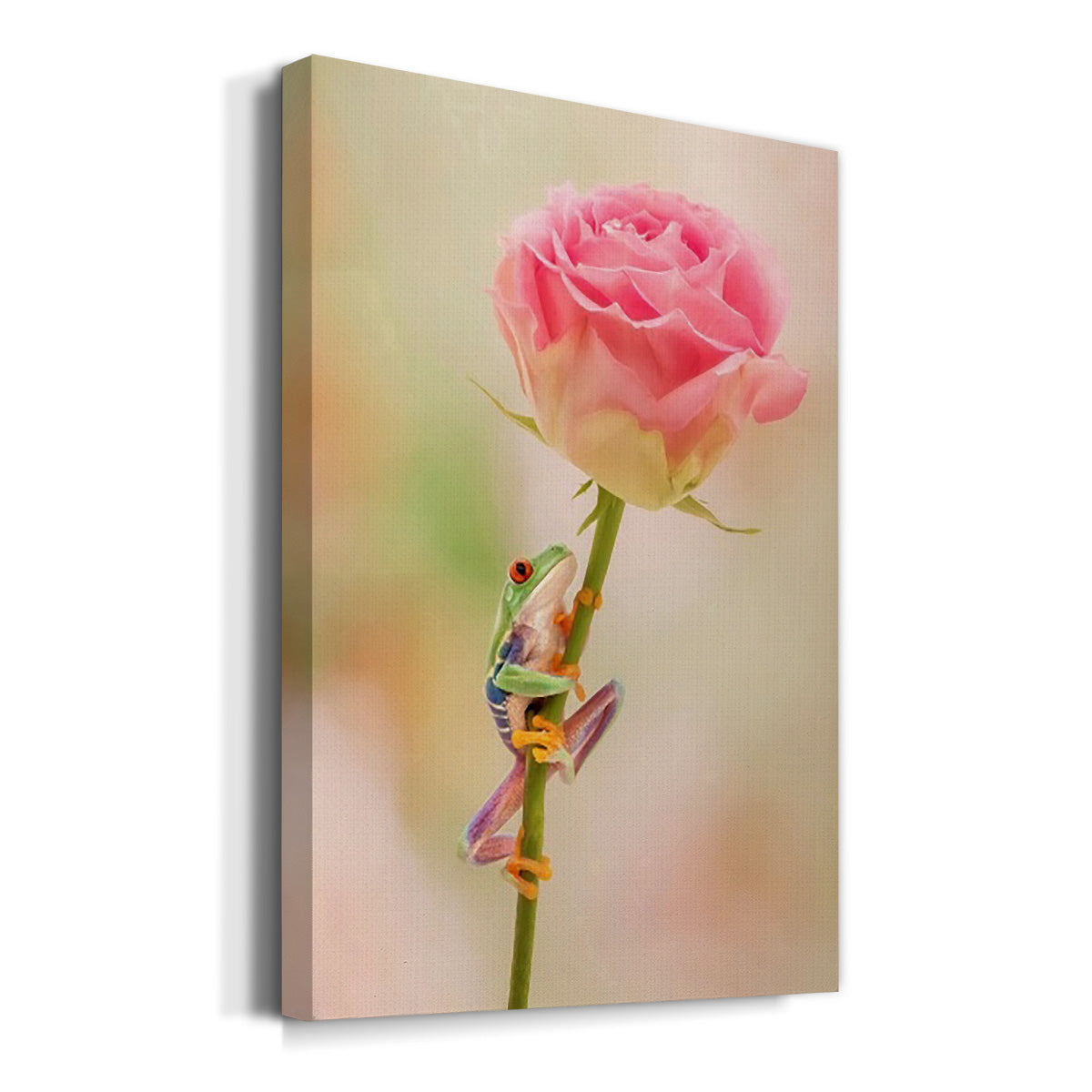 Hanging On II - Canvas Art Print