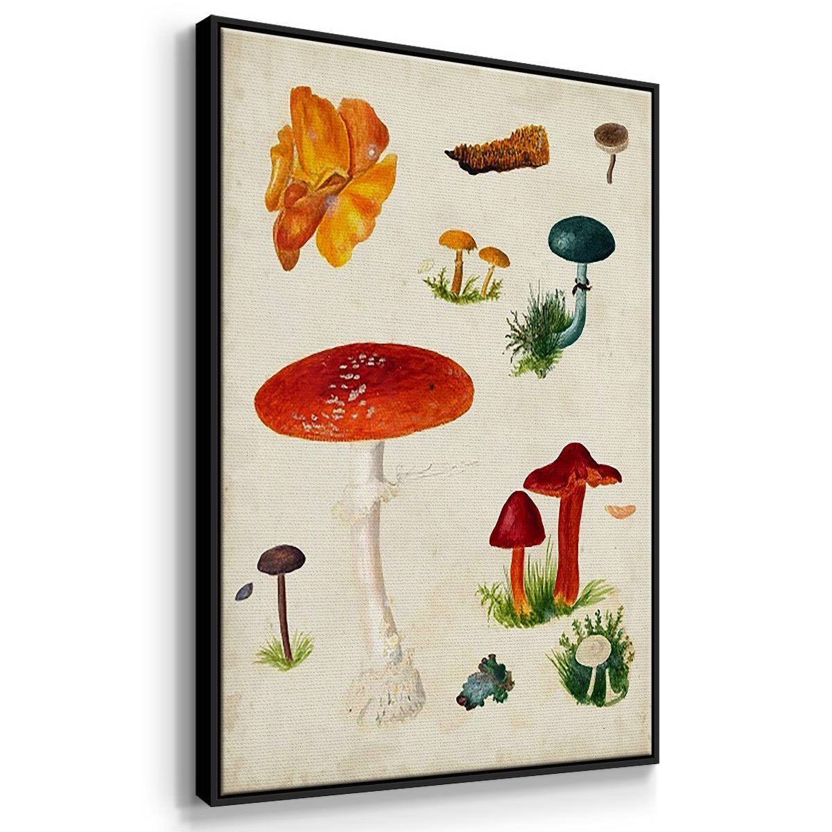 Mushroom Species IV - Framed Premium Gallery Wrapped Canvas L Frame 3 Piece Set - Ready to Hang