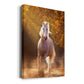 Horse Motion VIII Premium Gallery Wrapped Canvas - Ready to Hang