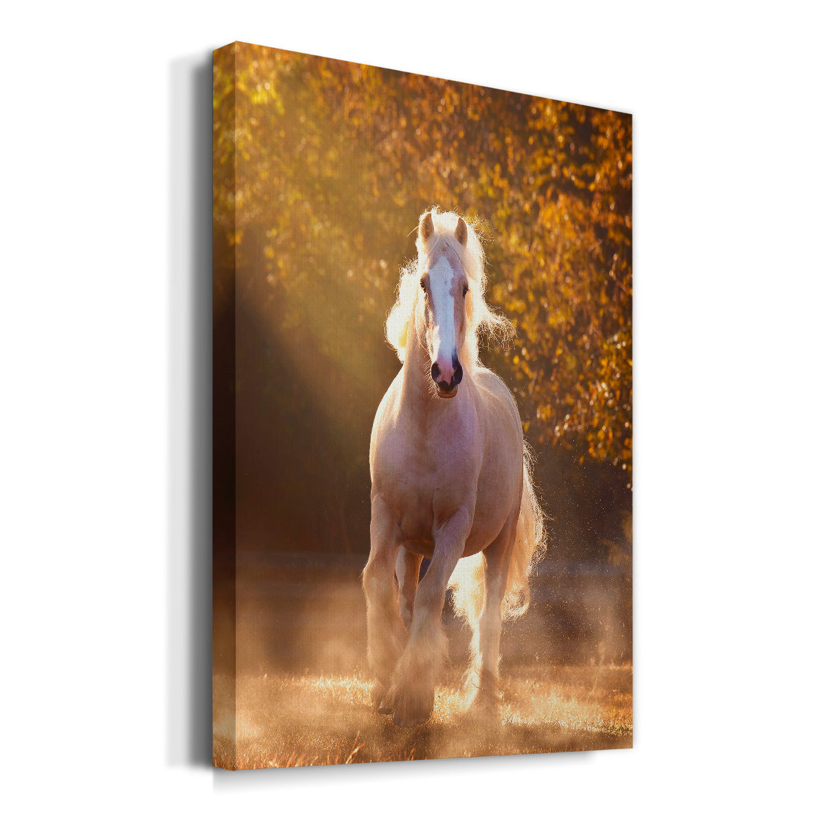 Horse Motion VIII Premium Gallery Wrapped Canvas - Ready to Hang