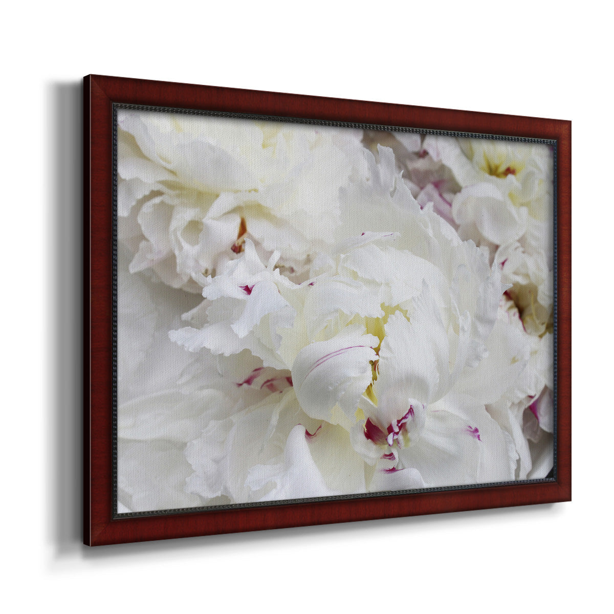 Breathless VI - Ornate Framed Canvas Print