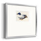 White and Blue Mallard Premium Framed Print Double Matboard