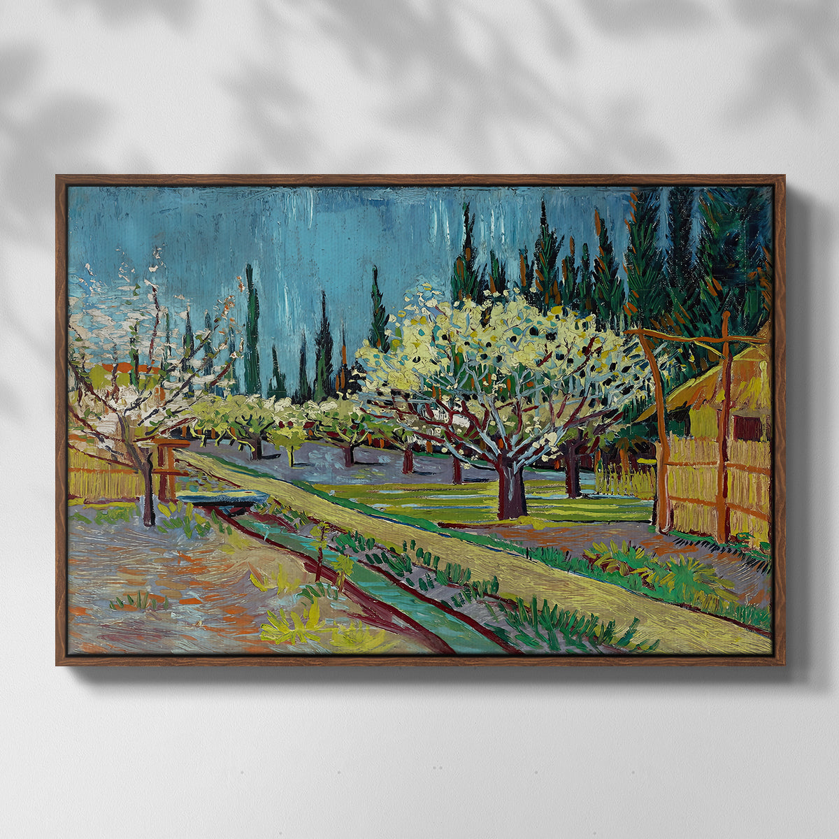 Orchard in Blossom, Bordered by Cypresses, 1888 - Floater Framed Canvas Print