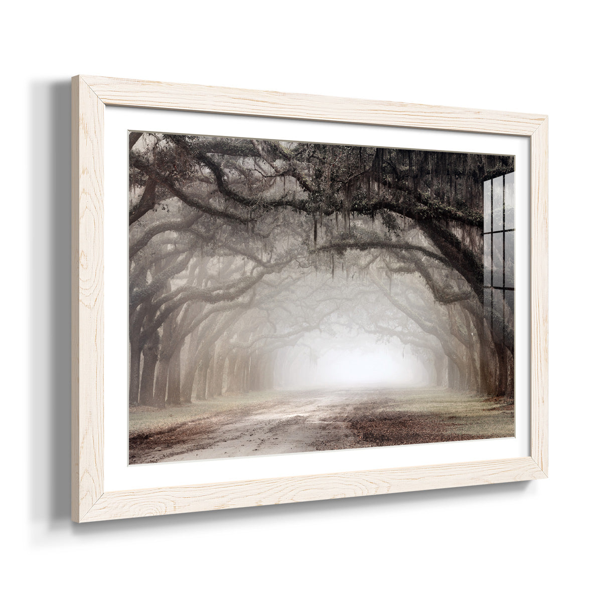 Timeless Plantation Drive - Barnwood Framed Art Print