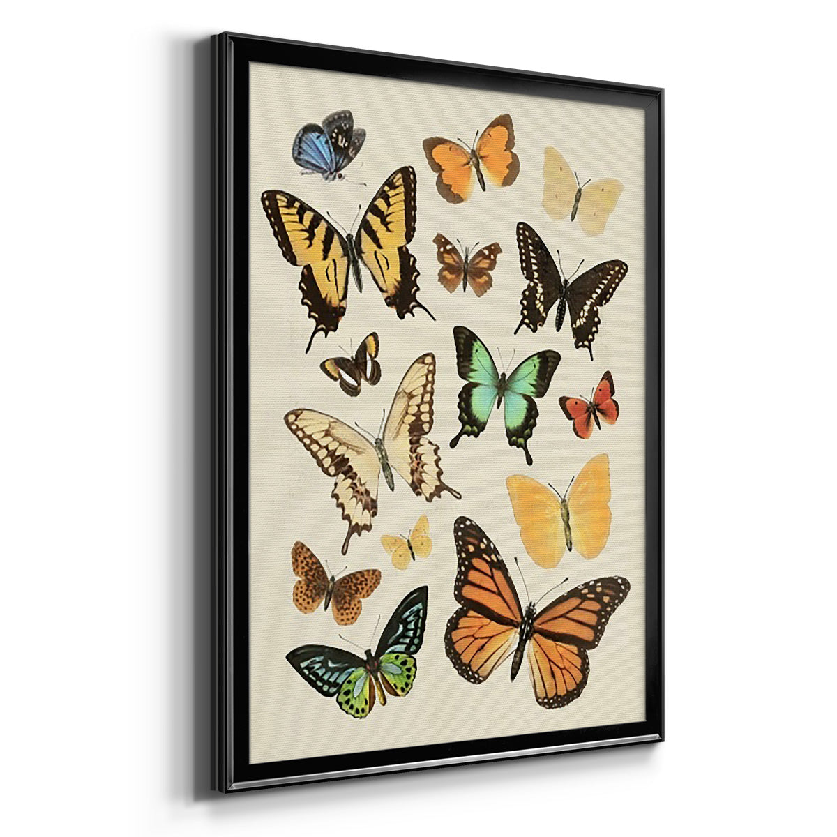 Collected Flutter I - Modern Framed Canvas Print