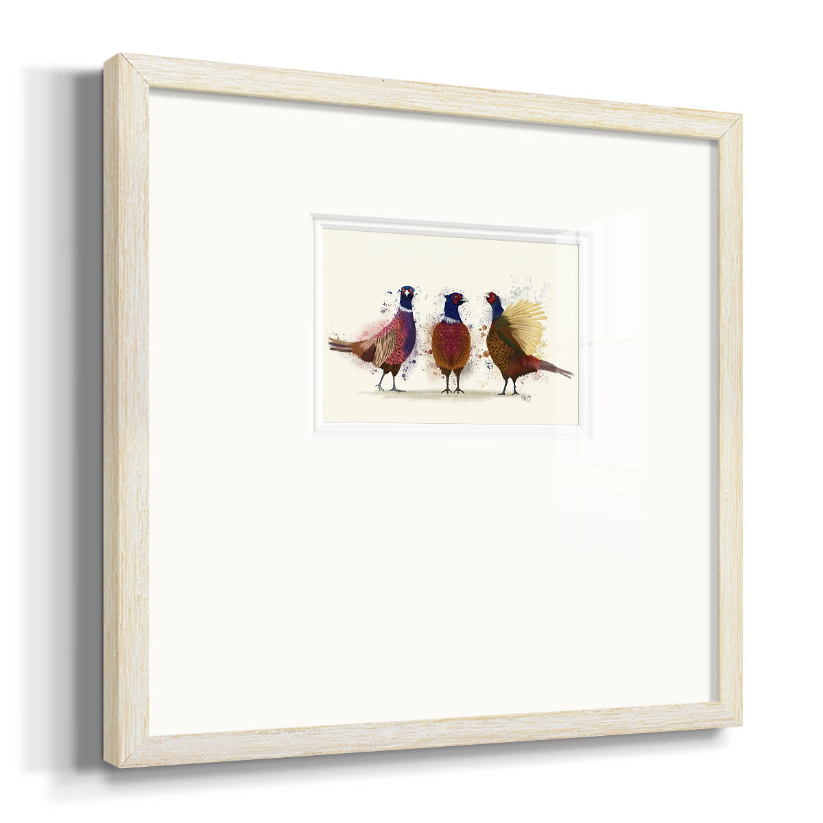 Pheasant Trio Premium Framed Print Double Matboard