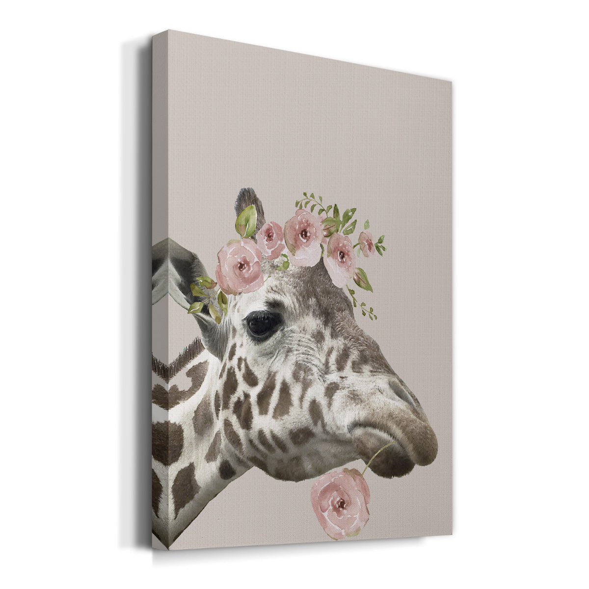 Peek A Boo Giraffe II - Canvas Art Print