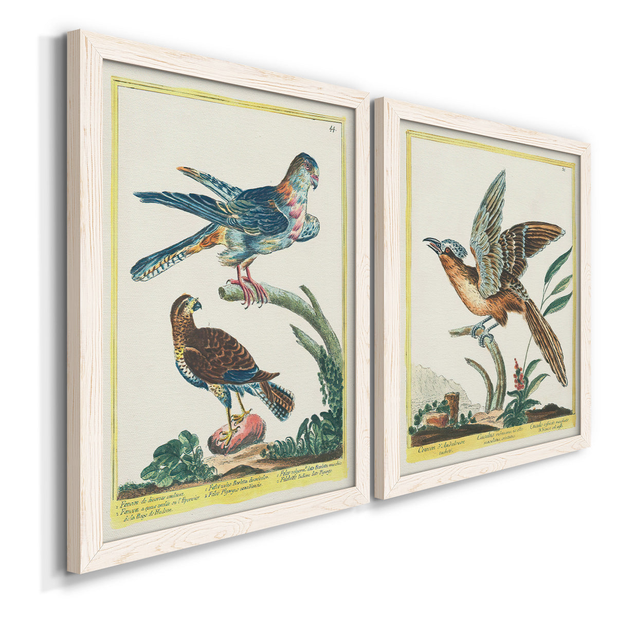 Pastel Birds III - Barnwood Framed Canvas Set