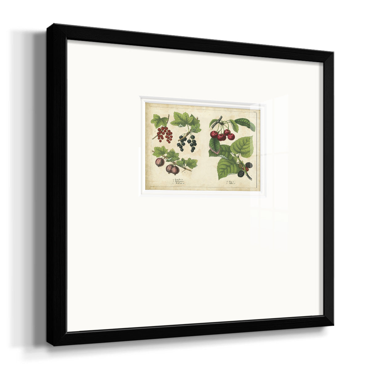 Kitchen Fruits III Premium Framed Print Double Matboard