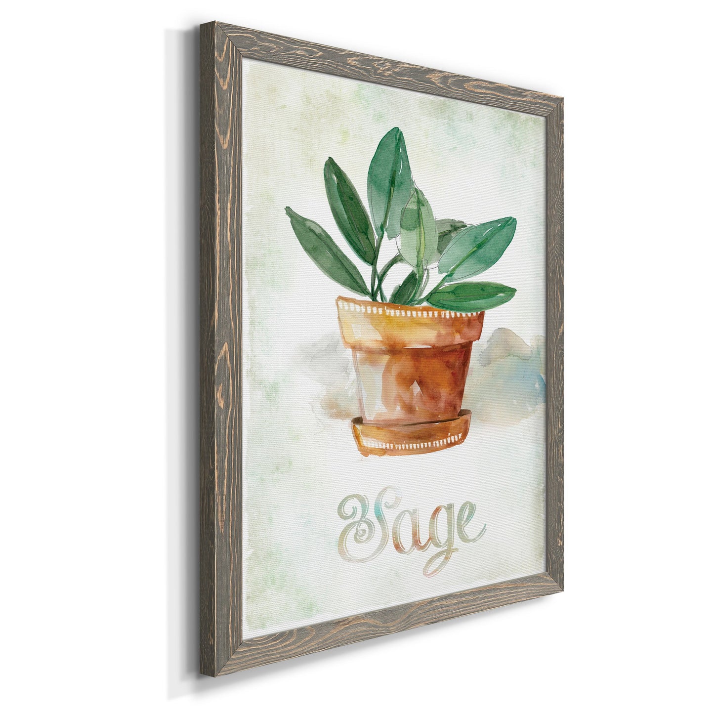 Potted Sage - Premium Canvas Framed in Barnwood - Ready to Hang